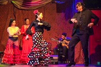 Flamenco Level 3 (Package)